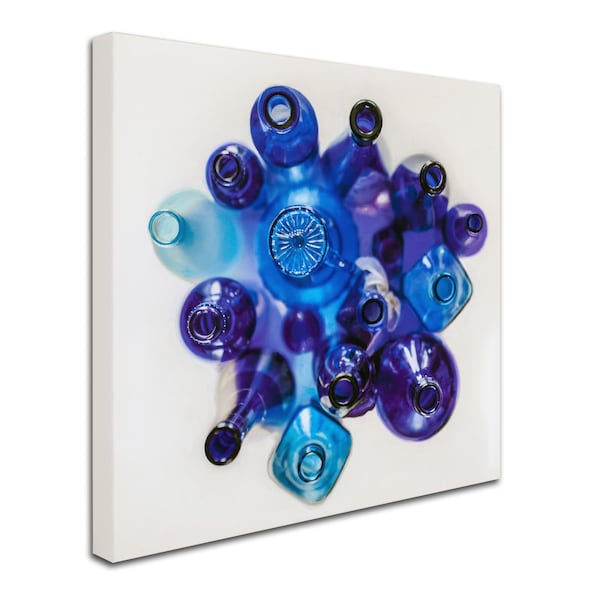 Roderick Stevens 'Blue For You' Canvas Art,35x35